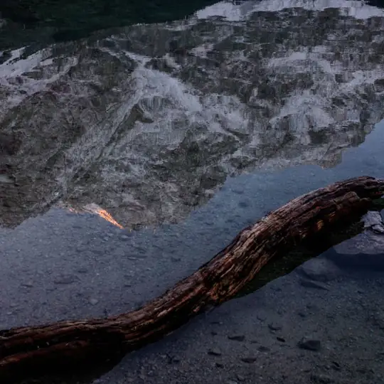Ripple: Drops land and the rings bend the picture as they pass.