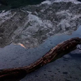 Ripple